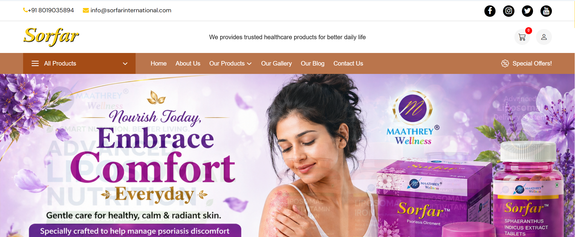 Sorfar International website project by Digital Marketing King